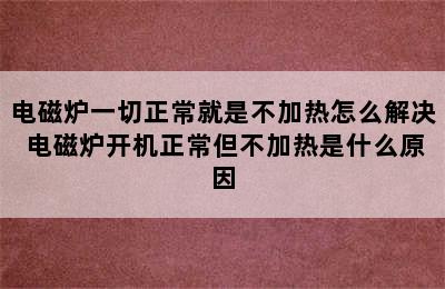 电磁炉一切正常就是不加热怎么解决 电磁炉开机正常但不加热是什么原因